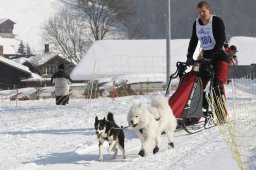 Lenk 2012 SM